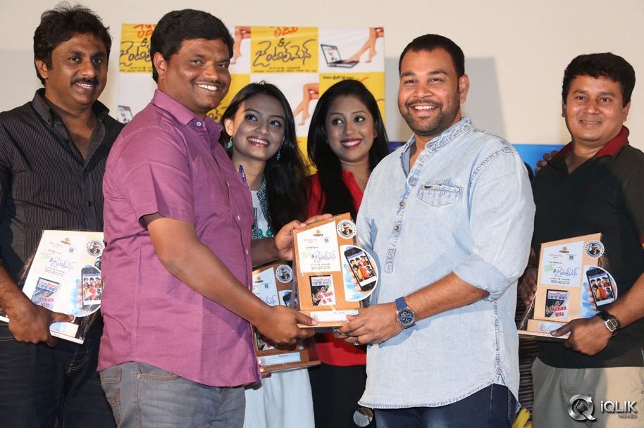 Ladies-and-Gentlemen-Movie-Platinum-Disc-Function